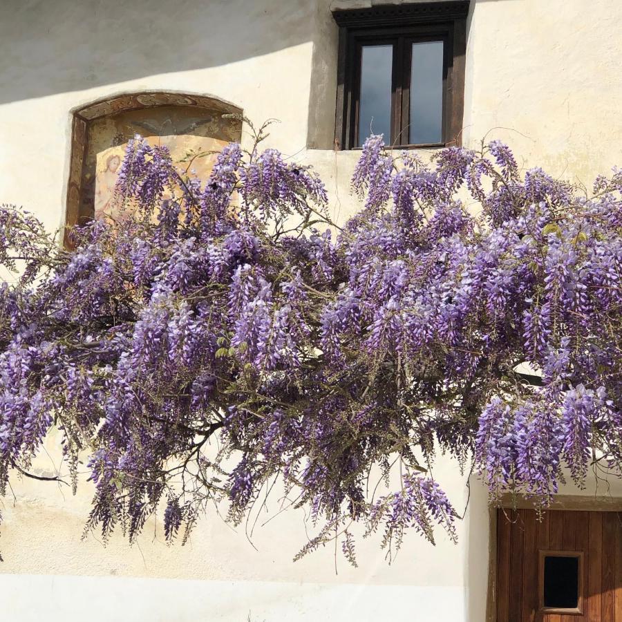 Agropobitzer Farm stay